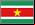 Diarios de noticias de Suriname